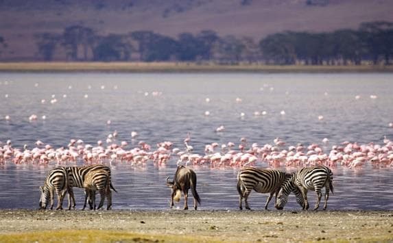 5‑Day Aberdares, Lake Nakuru & Maasai Mara