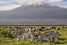 Amboseli