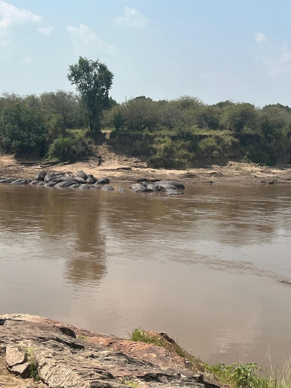 Safari Experience — Mara 2