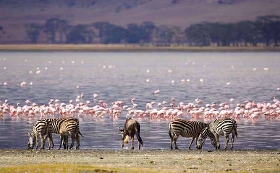 5‑Day Aberdares, Lake Nakuru & Maasai Mara