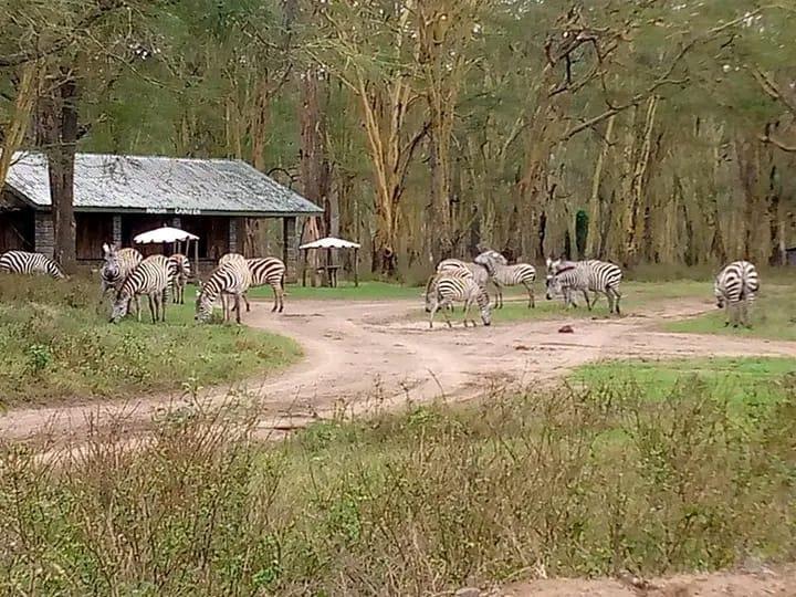Lake Nakuru National Park